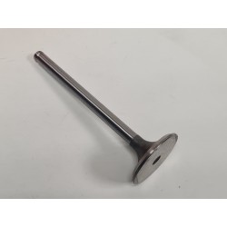 Zawór ssący Polonez 1.9 GLD