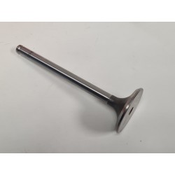 Zawór ssący Polonez 1.9 GLD
