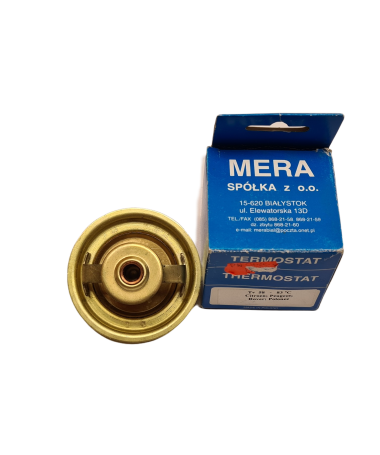 Termostat FSO Polonez 1.9D
